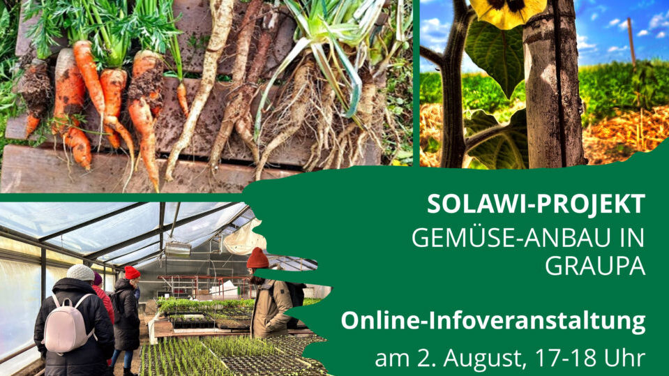 Frisches Gemüse, das verbindet - Infoveranstaltung des Solawi-Projekts Gemüse-Anbau in Graupa