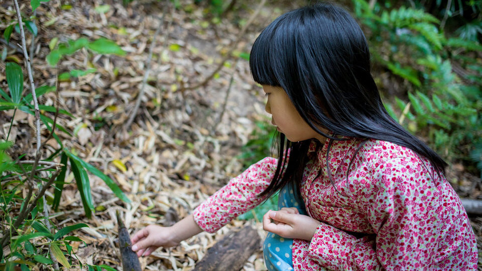 Spielzeugbau im Wald - mit Kindern ab 6 Jahre