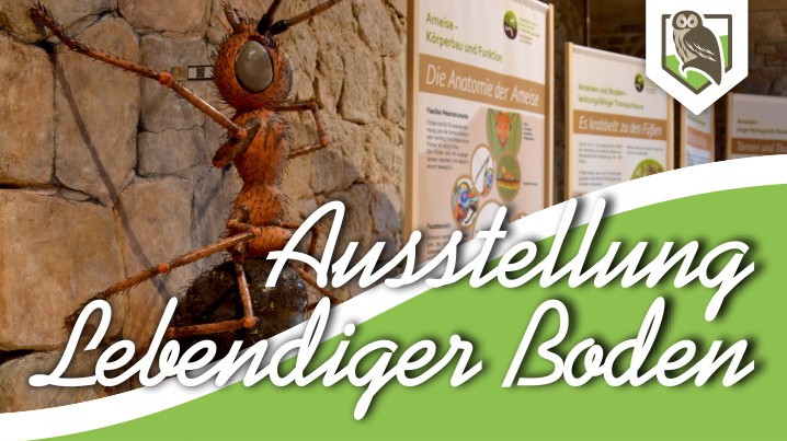 Lebendiger Boden – Reise in die Welt der Bodenorganismen