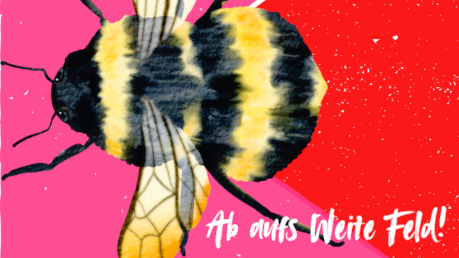 Weites Feld Festival