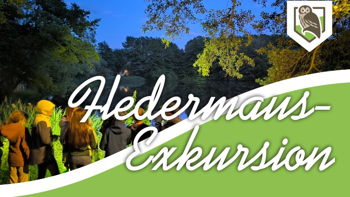 Fledermaus-Exkursion