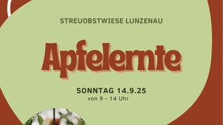 Apfelernte Streuobstwiese Lunzenau