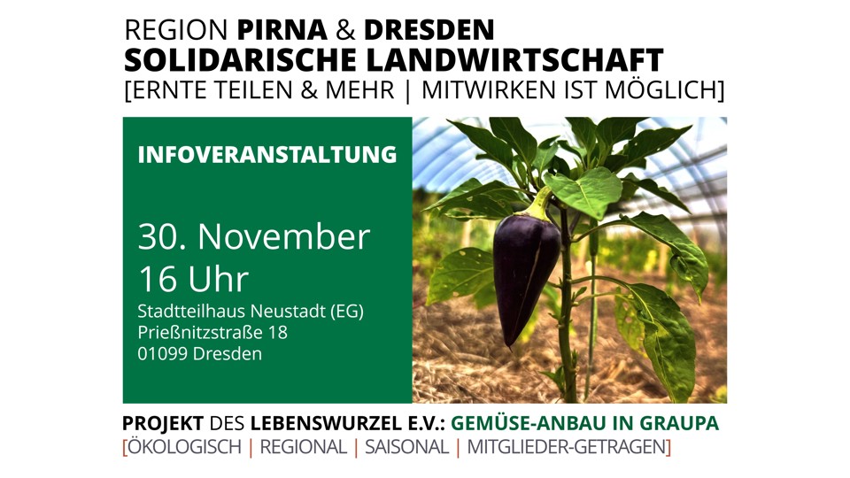Frisches Gemüse, das verbindet – Infoveranstaltung des Solawi-Projekts Gemüse-Anbau in Graupa