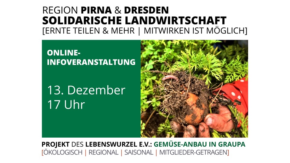 Frisches Gemüse, das verbindet – Infoveranstaltung des Solawi-Projekts Gemüse-Anbau in Graupa