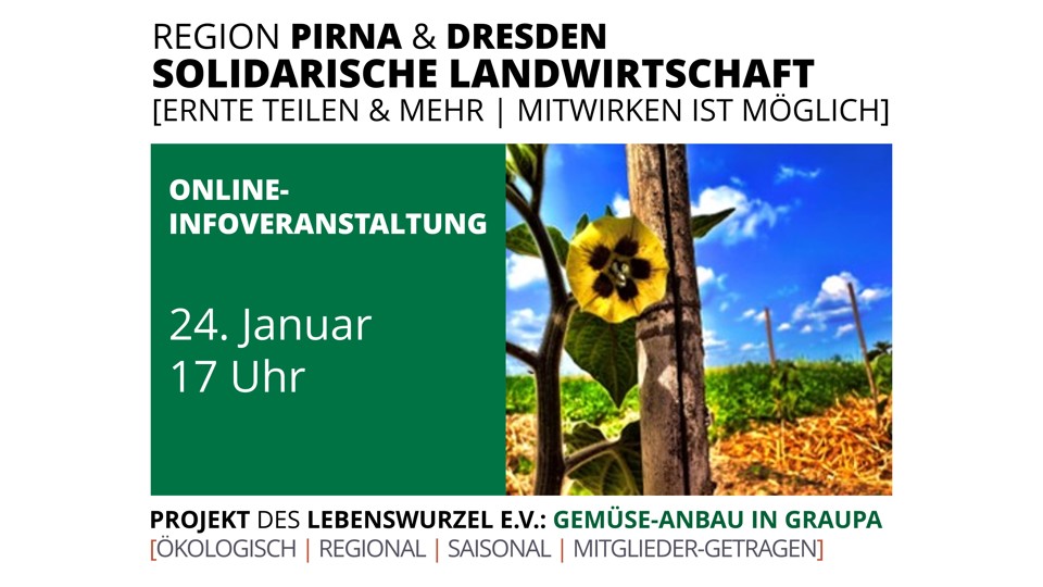 Frisches Gemüse, das verbindet – Infoveranstaltung des Solawi-Projekts Gemüse-Anbau in Graupa