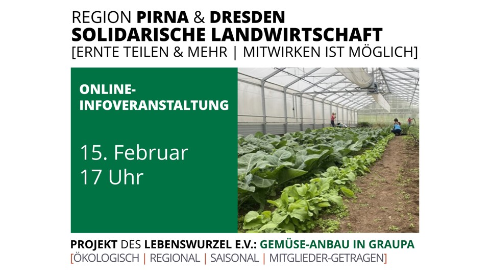 Frisches Gemüse, das verbindet – Infoveranstaltung des Solawi-Projekts Gemüse-Anbau in Graupa