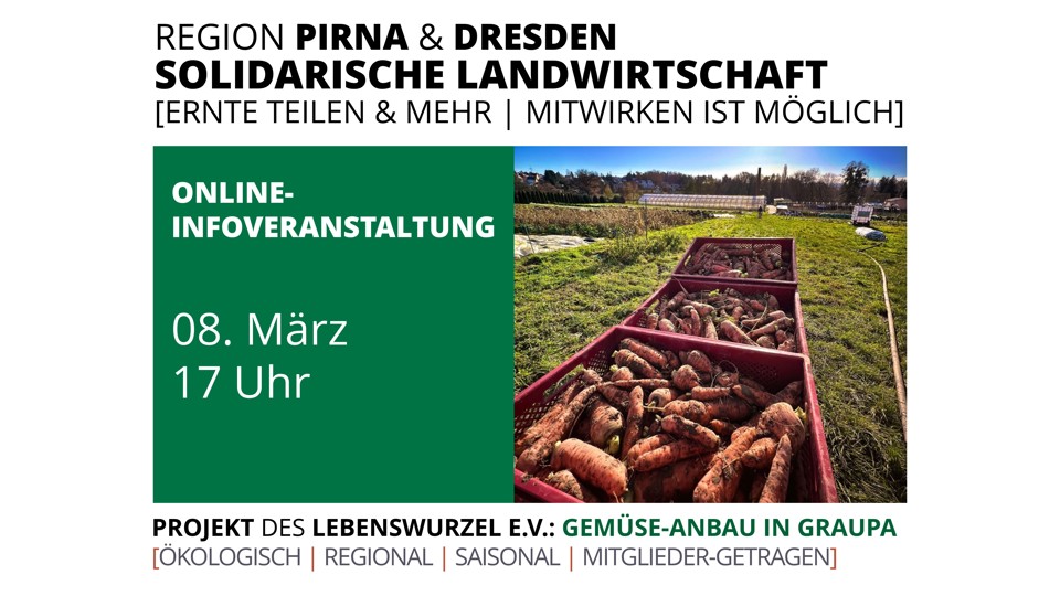 Frisches Gemüse, das verbindet – Infoveranstaltung des Solawi-Projekts Gemüse-Anbau in Graupa