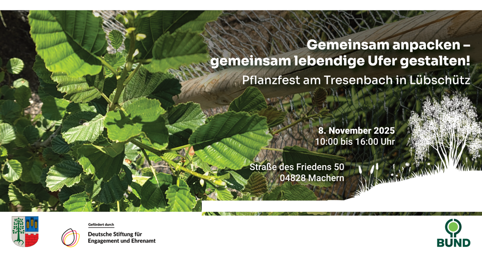 Gemeinsam anpacken - Pflanzfest am Tresenbach in Machern