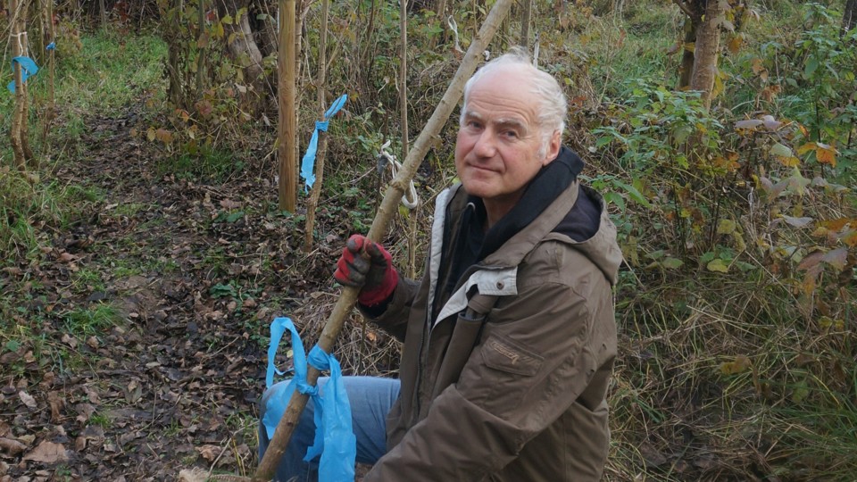 Arbeitseinsatz Naturbewahrung e.V.