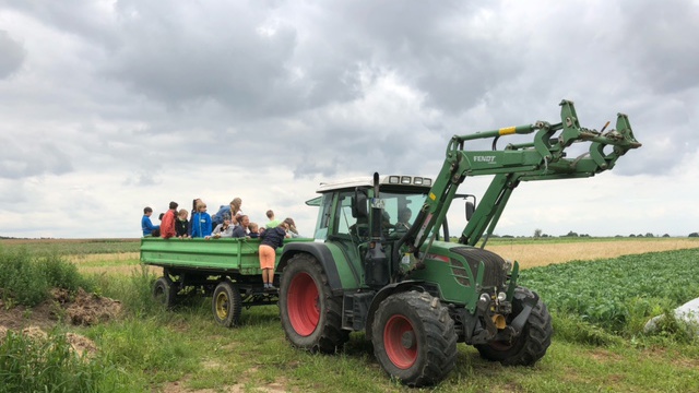 Mitmachtag: Beet-Einfassung und Weidenruten stecken