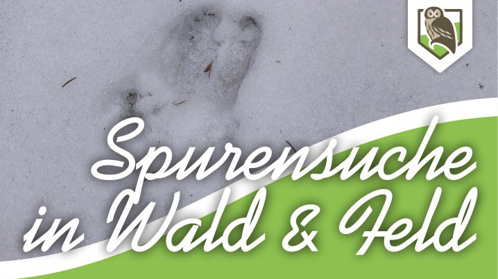 Spurensuche in Wald und Feld – Vortrag & Wanderung