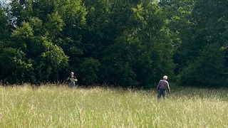 Tharandter Wald: Triebischwiesen und Teiche