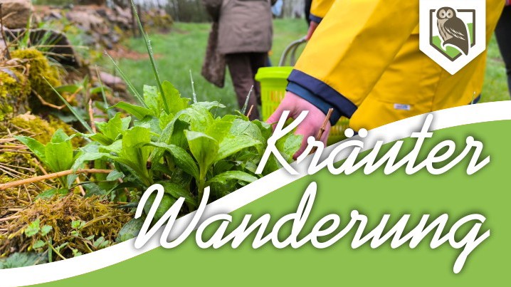 Kräuterwanderung