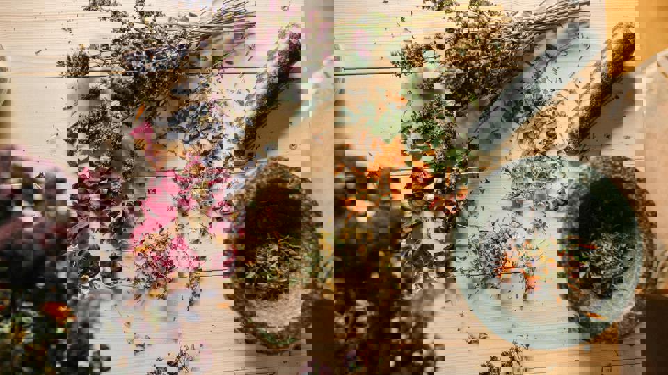 Essbare Pflanzen, Wildkräuter- & Gemüseverarbeitung