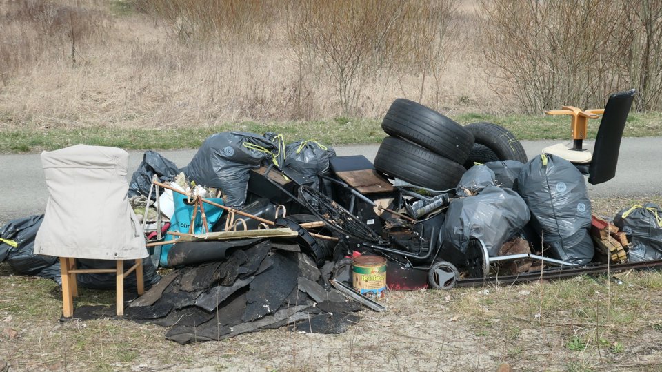 Frühjahrsputz an der Schmetterlingswiese Seehaus in Plauen