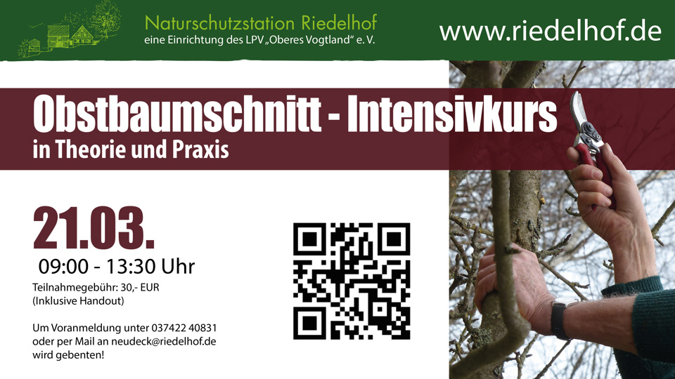 Obstbaumschnitt - Intensivkurs in Theorie und Praxis