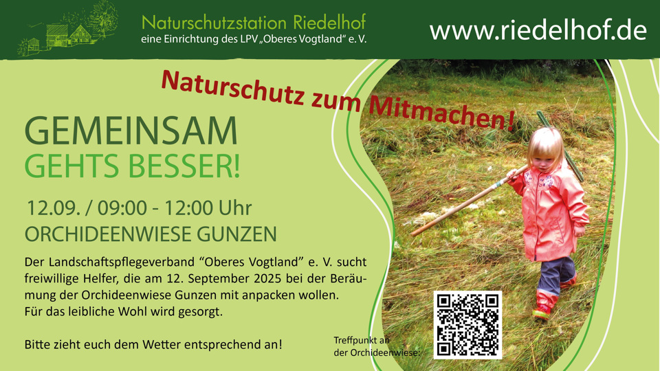 Gemeinsam geht's besser! - Beräumung der Orchideenwiese Gunzen