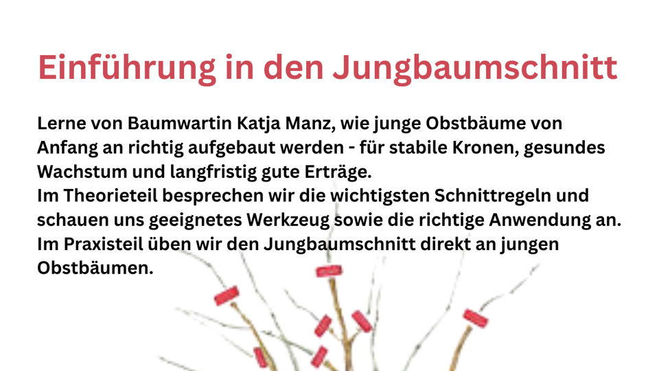 Einführung in den Jungbaumschnitt