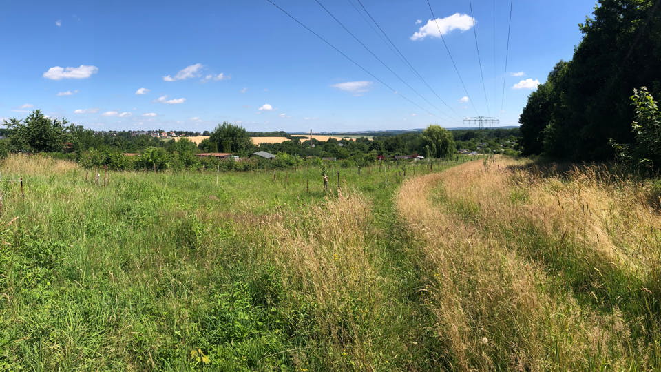Arbeitseinsatz auf der Schmetterlingswiese Hilbersdorf - Pflanzaktion