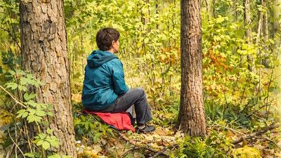 Jahreszeiten im Wald - Frühling