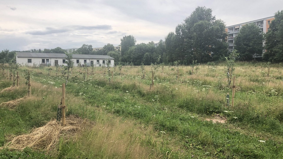 Gemeinsamer Gartentag im Obstlehrgarten