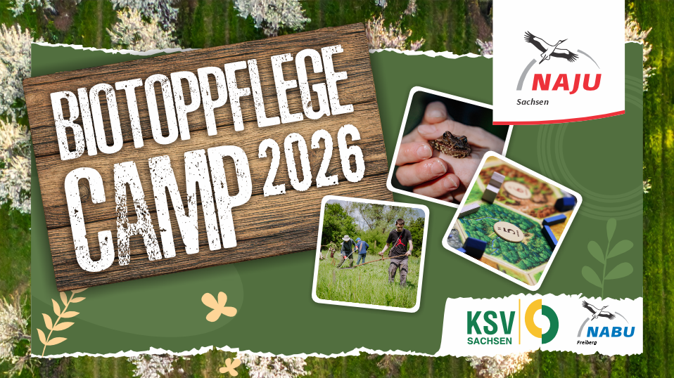 Freiberger BiotoppflegeCamp