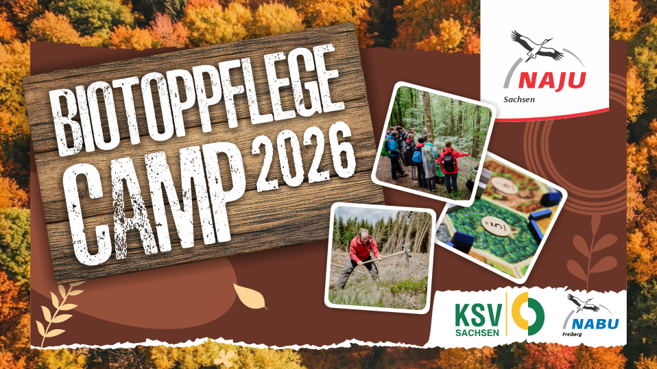 Freiberger BiotoppflegeCamp