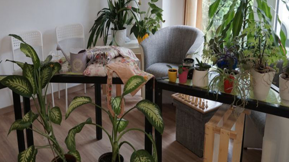 Tauschtag für Pflanzen und Samen