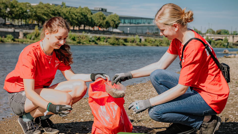 Elbwiesenreinigung mit der NAJU