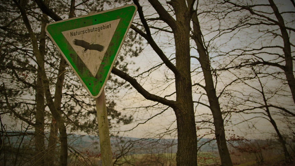 Umweltfachtag: Umwelt erleben, verstehen, gestalten