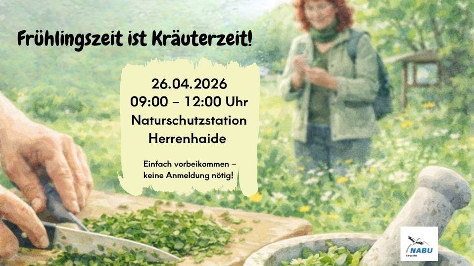Frühlingszeit ist Kräuterzeit- Kräuterwanderung mit Kräuterpädagogin Helga Friese