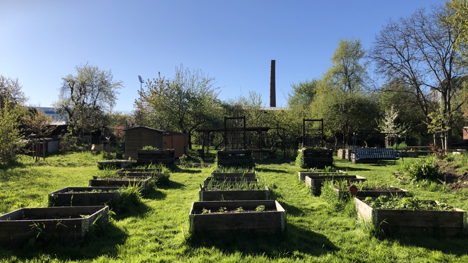 Vom Garten auf den Teller - alles rund um Äpfel und Birnen