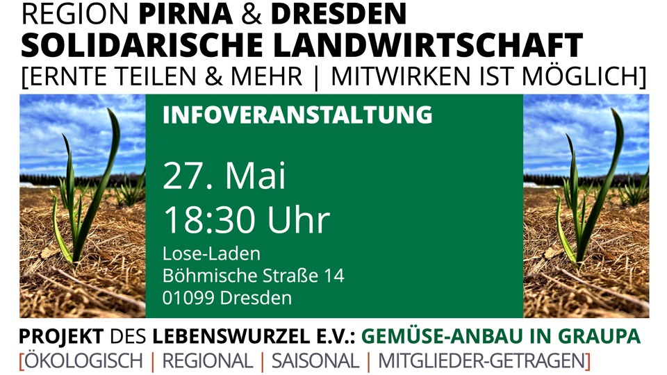 Frisches Gemüse, das verbindet – Infoveranstaltung des Solawi-Projekts Gemüse-Anbau in Graupa