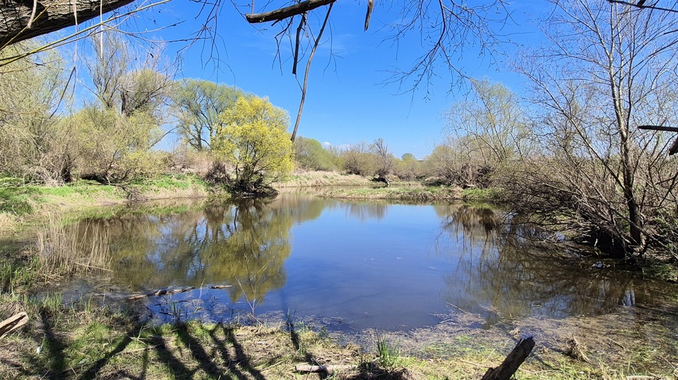 Die Elbaue – Wasserweg, Naturlandschaft oder beides?