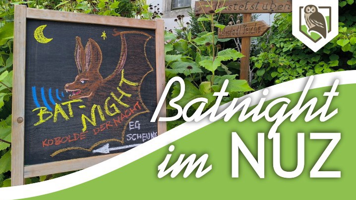 Batnight 2026 im NUZ