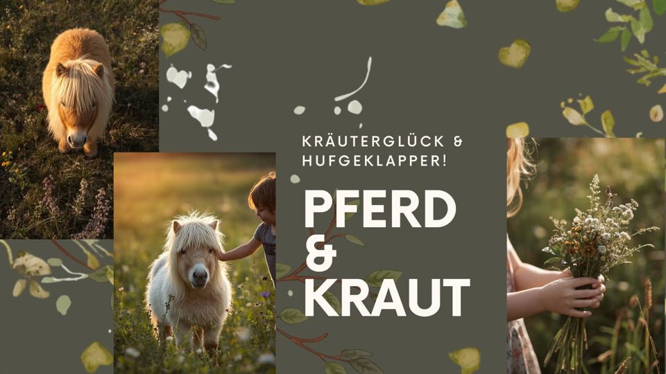 FERIENSPECIAL: Pferd & Kraut – Ponywanderung in Gornau Ein magischer Sommermorgen für alle Pferdemenschen und Familien