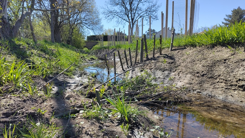 Fachtagung “Lebendige Ufer”  Naturnahe Gewässer in Kommunen – Praxisbeispiele und Lösungsansätze