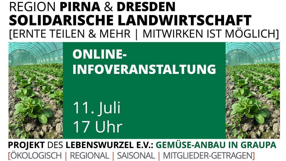 Frisches Gemüse, das verbindet – Infoveranstaltung des Solawi-Projekts Gemüse-Anbau in Graupa