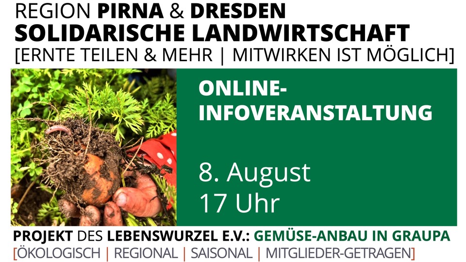 Von Aubergine bis Zucchini – entdecke, wie du Teil der Solawi „Gemüseanbau in Graupa“ werden kannst!“