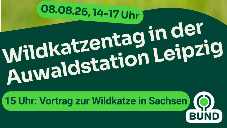 Wildkatzentag