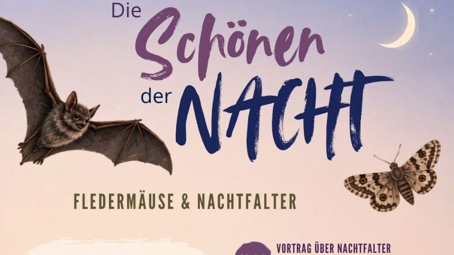 Die Schönen der Nacht