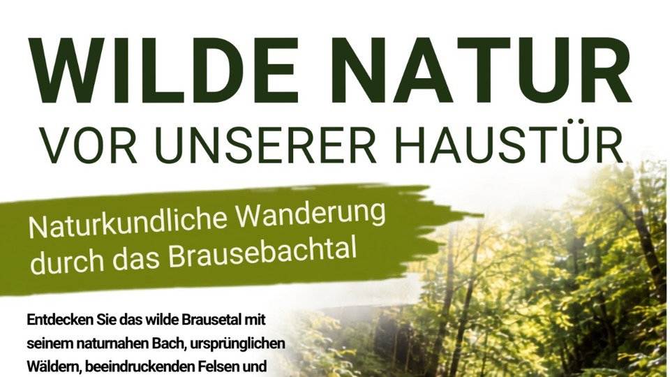Naturkundliche Wanderung durch das Brausebachtal