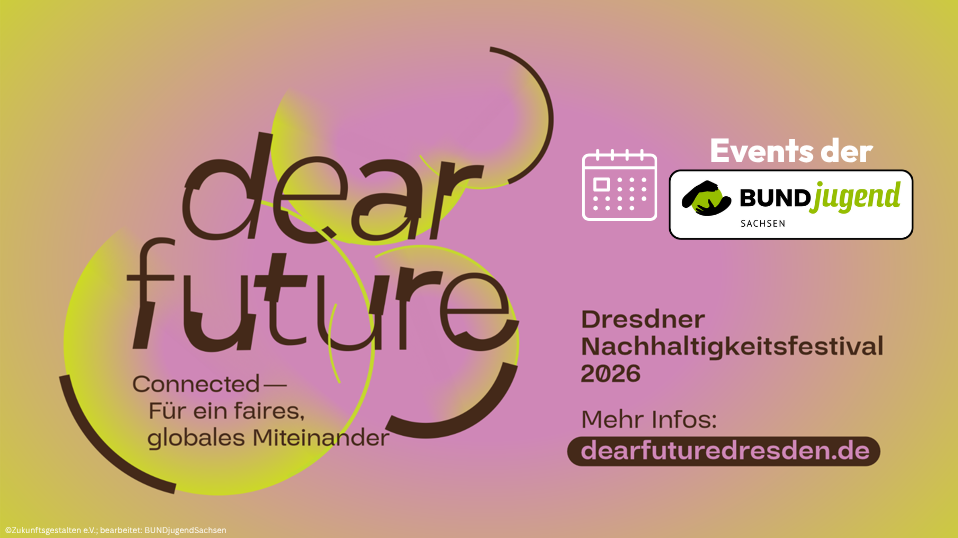 Politischer Abend zu Dekolonialisierung & Nachhaltigkeit – Dear Future Festival