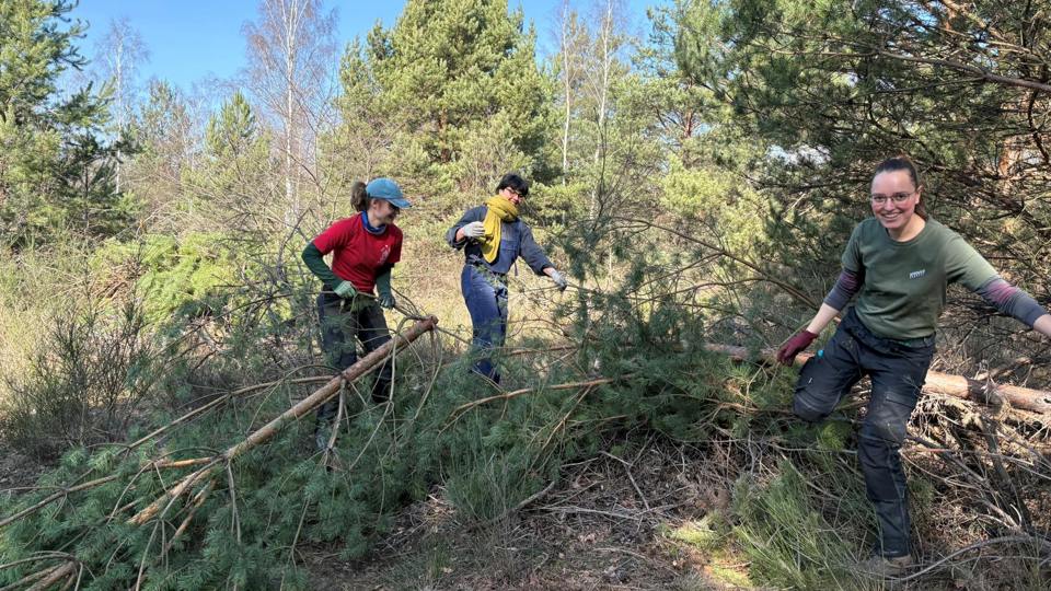 Naturschutzeinsatz auf dem Dresdner Heller