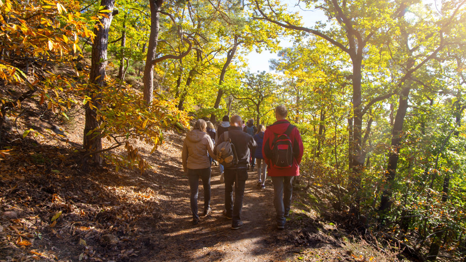 Auf dem Meeresgrund am Hohen Stein in Dresden-Plauen