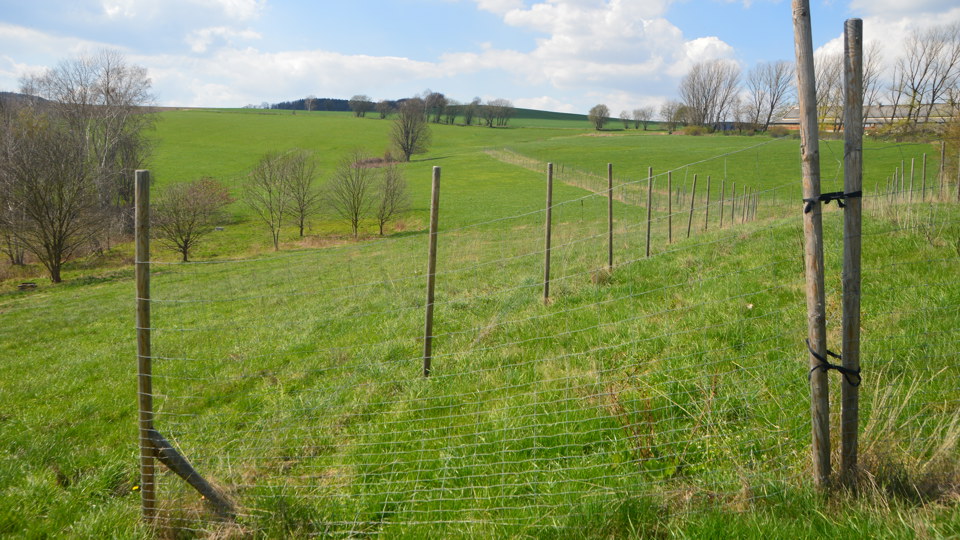 Arbeitseinsatz: Neue Hecken braucht das Land