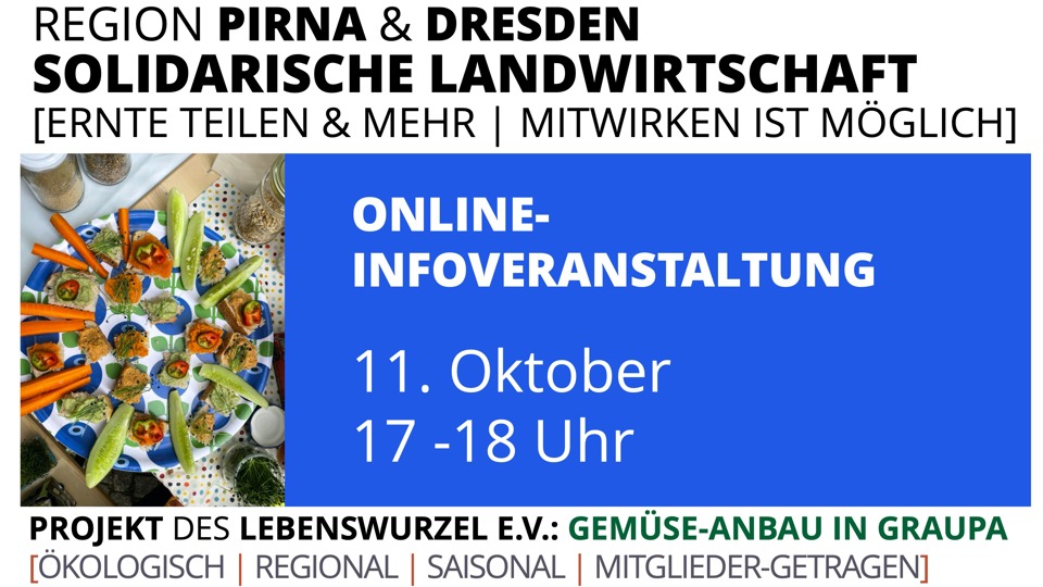 Von Aubergine bis Zucchini – entdecke, wie du Teil der Solawi „Gemüseanbau in Graupa“ werden kannst!“
