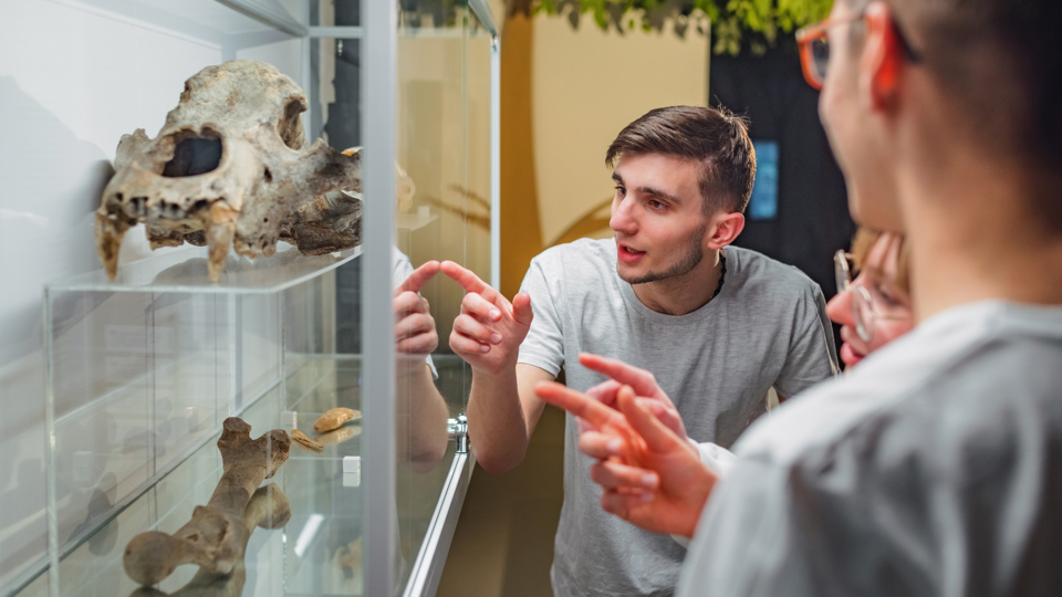 Von Speckkäfern und ausgestopften Tieren –  Blick ins Präparatorium der Senckenberg Naturhistorischen Sammlungen Dresden