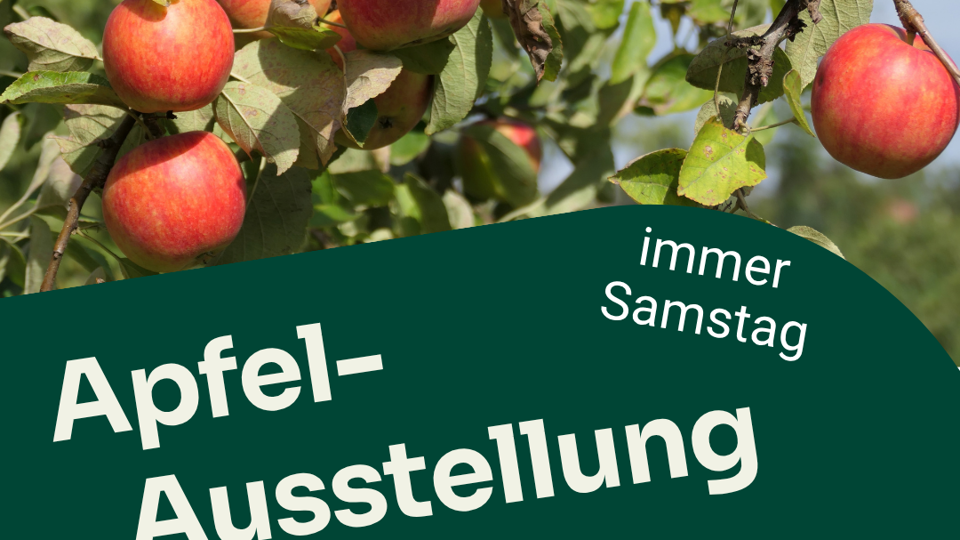 Europäische Vielfalt vor der eigenen Haustür - Apfelausstellung in Hilbersdorf - jeden Samstag