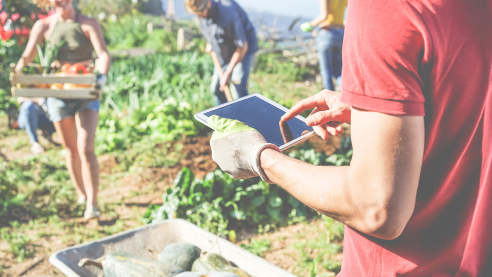 Exkursion - Gemeinschaftsgarten – Urban Gardening